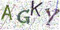 图形验证