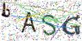 图形验证