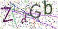 图形验证