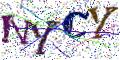 图形验证