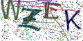 图形验证