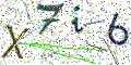 图形验证