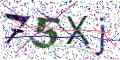 图形验证