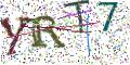 图形验证