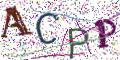 图形验证