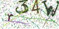 图形验证