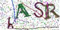 图形验证