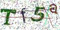 图形验证