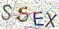 图形验证