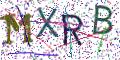图形验证