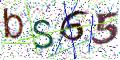 图形验证