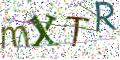 图形验证