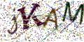 图形验证