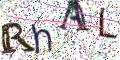 图形验证