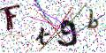 图形验证