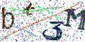图形验证