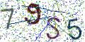 图形验证