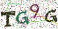 图形验证