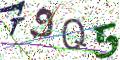 图形验证