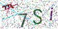 图形验证
