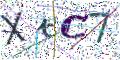 图形验证