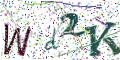 图形验证