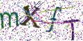 图形验证