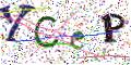 图形验证