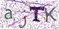 图形验证