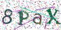 图形验证