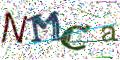 图形验证