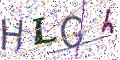 图形验证