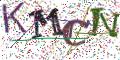 图形验证