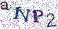 图形验证