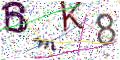 图形验证