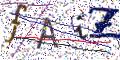 图形验证