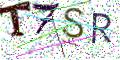 图形验证