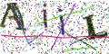 图形验证