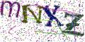 图形验证