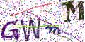 图形验证