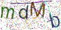 图形验证
