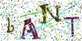 图形验证