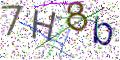 图形验证