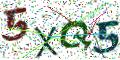 图形验证