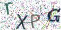 图形验证