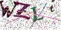 图形验证