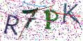图形验证