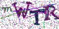图形验证