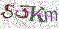 图形验证