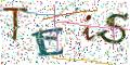 图形验证